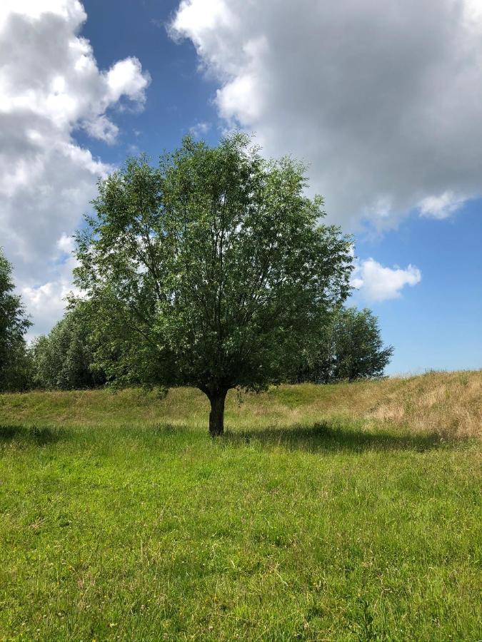 B&B De Tol Hulst Exteriör bild