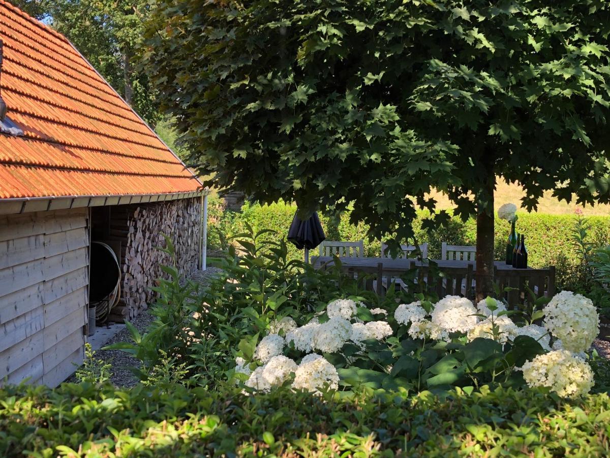 B&B De Tol Hulst Exteriör bild