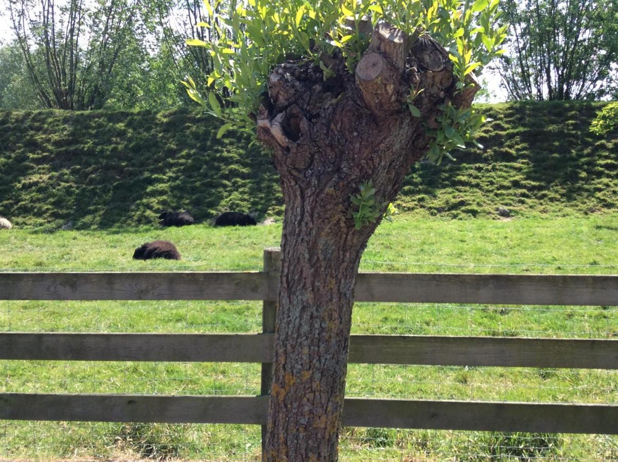 B&B De Tol Hulst Exteriör bild