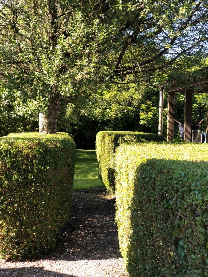 B&B De Tol Hulst Exteriör bild