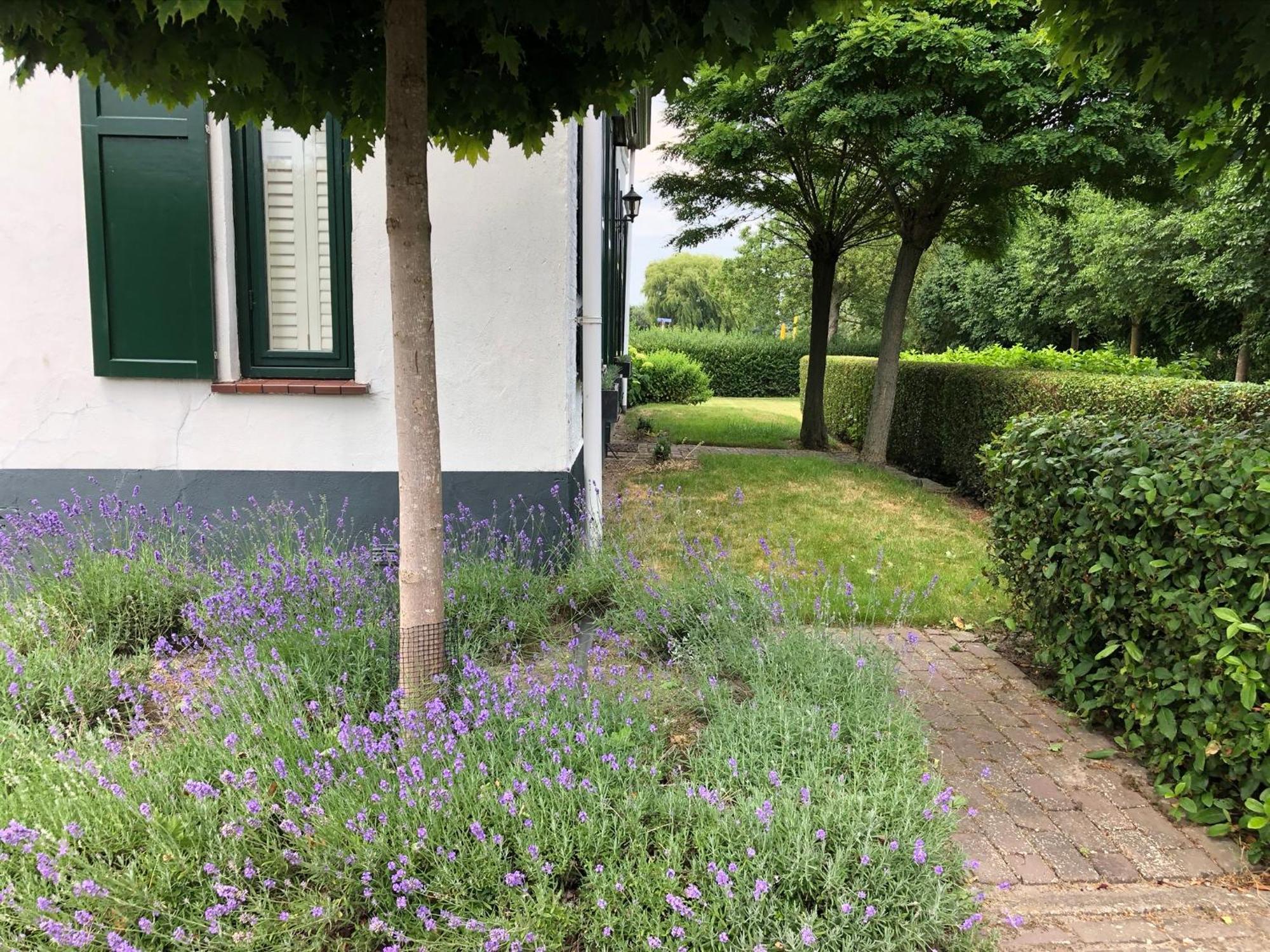 B&B De Tol Hulst Exteriör bild