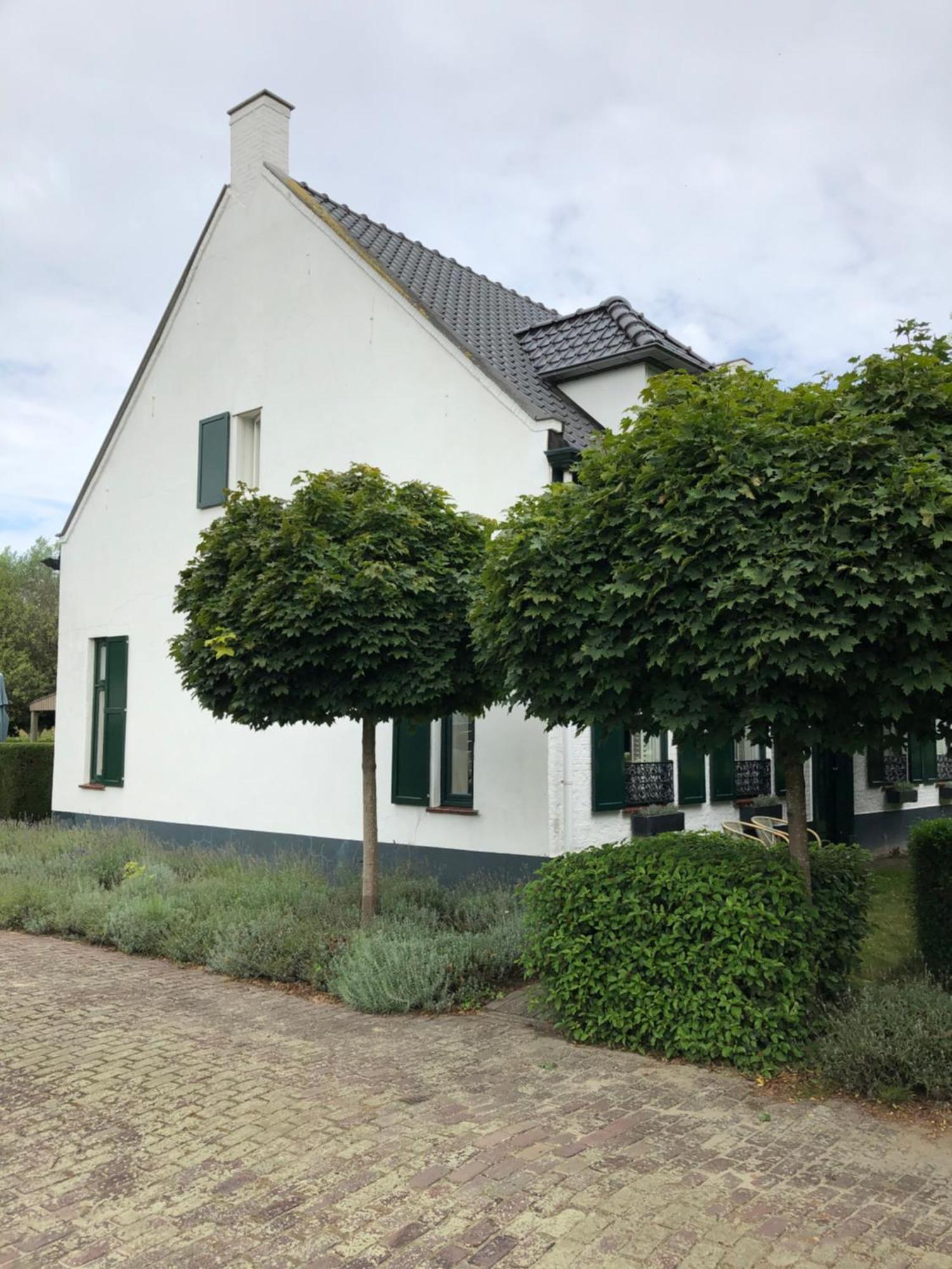 B&B De Tol Hulst Exteriör bild